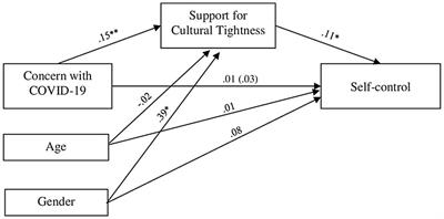 The Mediational Role of Desire for Cultural Tightness on Concern With COVID-19 and Perceived Self-Control